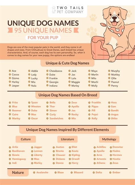 dog names unique meaning|unique dog names for women.